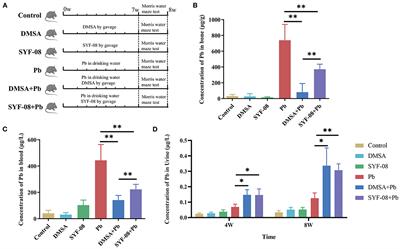 Lactobacillus casei SYF-08 Protects Against Pb-Induced Injury in Young Mice by Regulating Bile Acid Metabolism and Increasing Pb Excretion